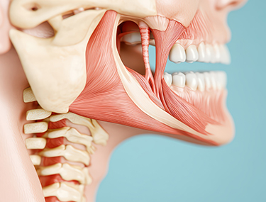 咬み合わせ治療